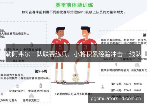 勒阿弗尔二队联赛练兵,小将积累经验冲击一线队 勒阿弗尔二队联赛练兵,小将积累经验冲击一线队