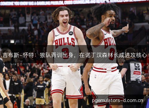 吉布斯-怀特:狼队青训出身,在诺丁汉森林长成进攻核心 吉布斯-怀特:狼队青训出身,在诺丁汉森林长成进攻核心